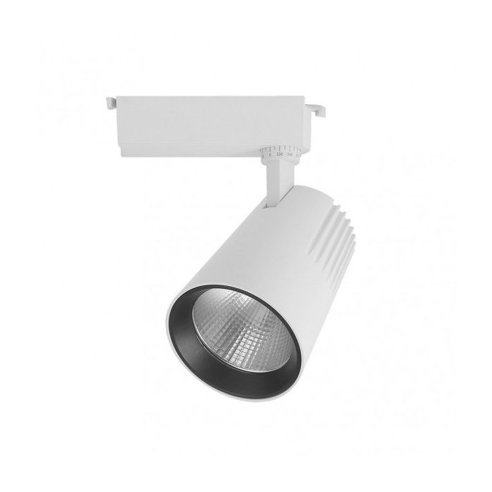 FOCO CARRIL 30W 4000K TELMA BLANCO 2700LM 36º ORIENTABLE 330º REGX19X9 CM