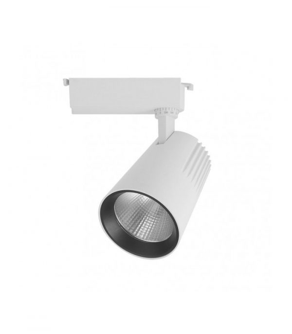 FOCO CARRIL 30W 6000K TELMA BLANCO 2700LM 36º ORIENTABLE 330º REGX19X9 CM