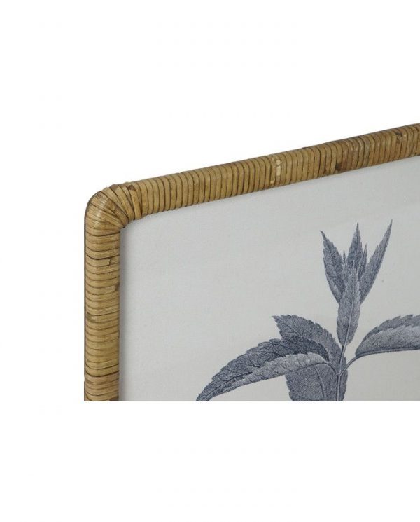 CUADRO CRISTAL RATAN 50X2,5X70 BOTANICO 8 SURT. - Imagen 2