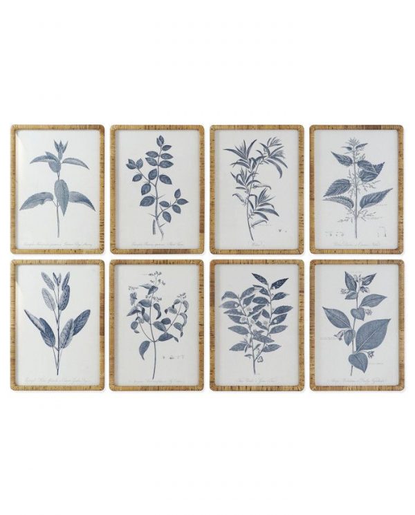 CUADRO CRISTAL RATAN 50X2,5X70 BOTANICO 8 SURT.