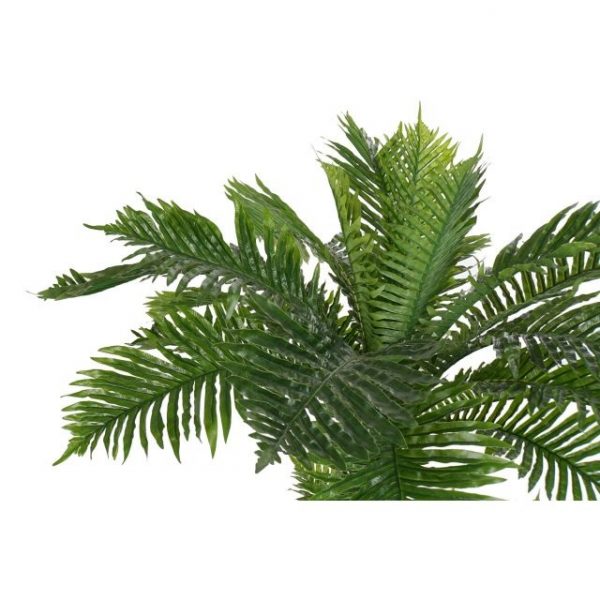 PLANTA EVA PP 80X90X120 PALMERA VERDE - Imagen 2