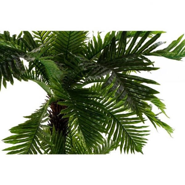 PLANTA EVA PP 80X90X120 PALMERA VERDE - Imagen 4