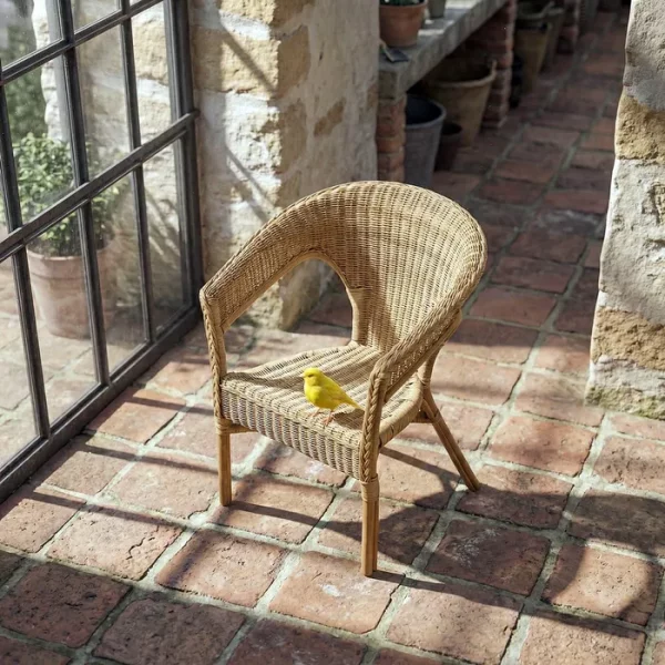SILLA NATURAL RATÁN SALÓN 60 X 58 X 80 CM
