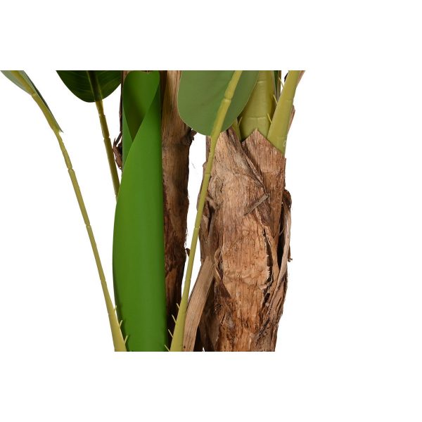 PLANTA PE CEMENTO 90X90X290 BANANERO VERDE - Imagen 2