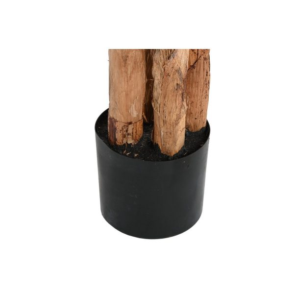 PLANTA PE CEMENTO 90X90X290 BANANERO VERDE - Imagen 4