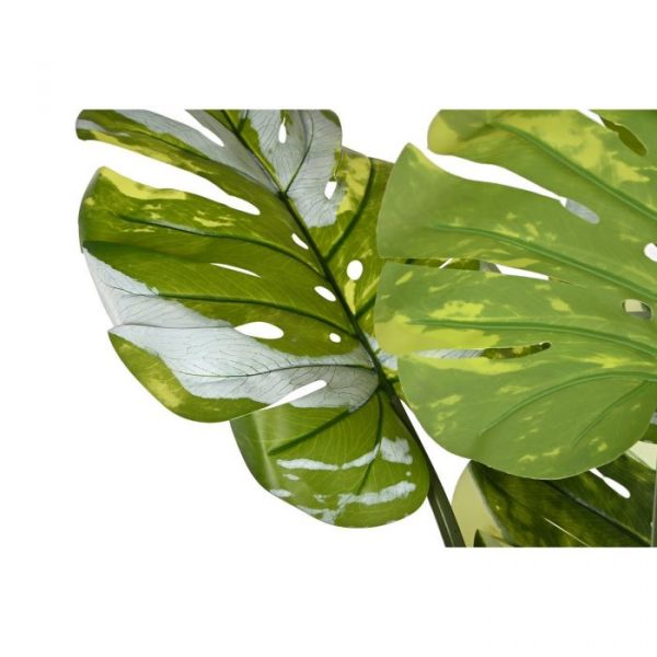 PLANTA PE CEMENTO 80X80X180 MONSTERA VERDE - Imagen 2