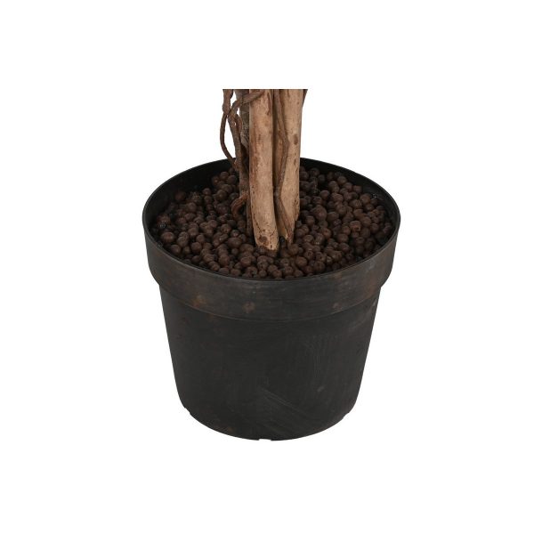 ARBOL PE 100X100X210 FICUS VERDE - Imagen 3