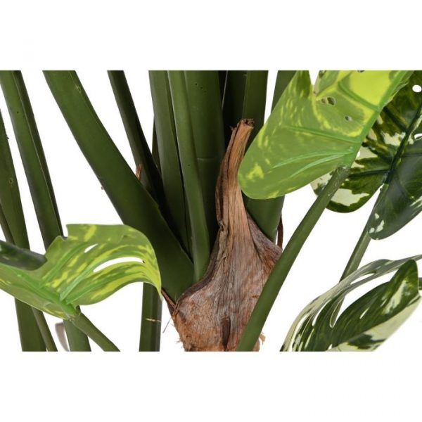 PLANTA PE CEMENTO 80X80X180 MONSTERA VERDE - Imagen 3
