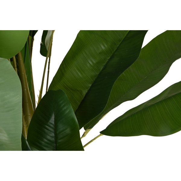 PLANTA PE CEMENTO 90X90X290 BANANERO VERDE - Imagen 3