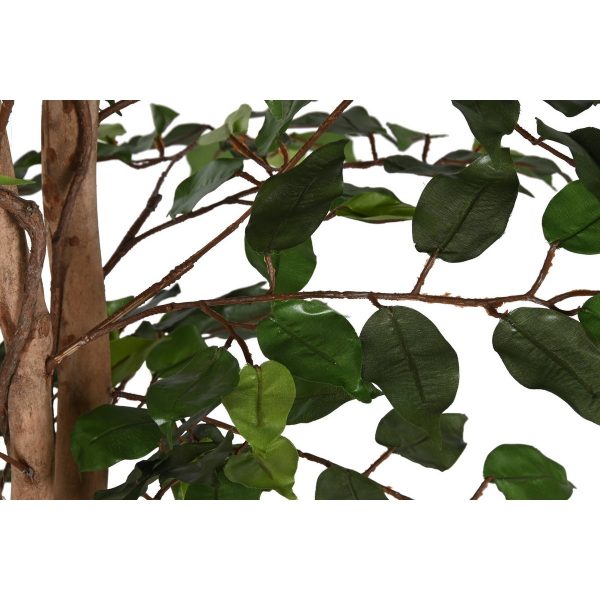 ARBOL PE 100X100X210 FICUS VERDE - Imagen 2