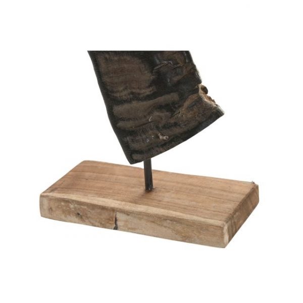 DECORACION SET 3 CUERNO BUFALO 20X11X65 SOPORTE - Imagen 2