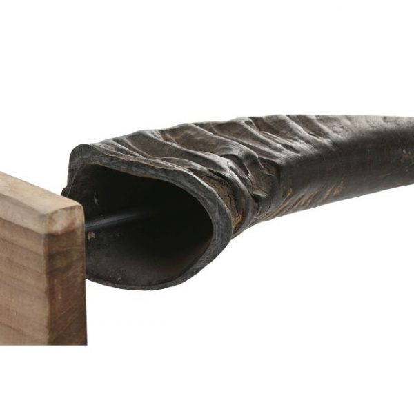 DECORACION SET 3 CUERNO BUFALO 20X11X65 SOPORTE - Imagen 4