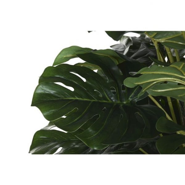 PLANTA PE 80X80X150 MONSTERA VERDE - Imagen 2