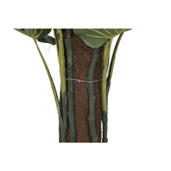 PLANTA PE 80X80X150 MONSTERA VERDE - Imagen 3