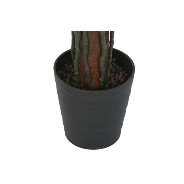 PLANTA PE 80X80X150 MONSTERA VERDE - Imagen 4