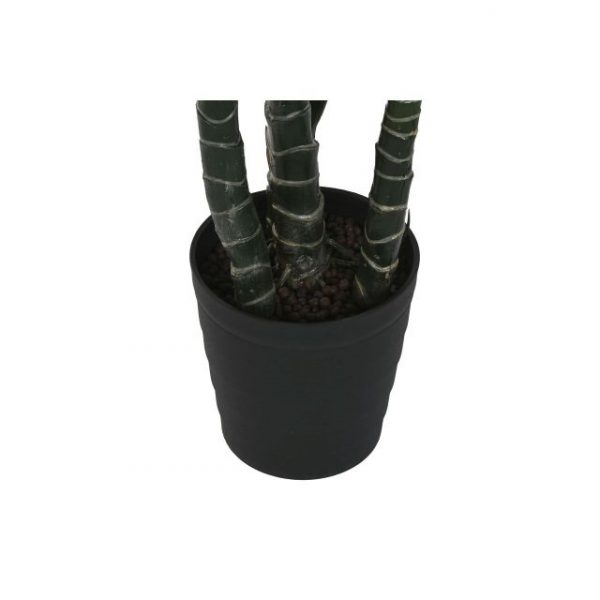 PLANTA PE 80X80X180 SPATHE VERDE - Imagen 4