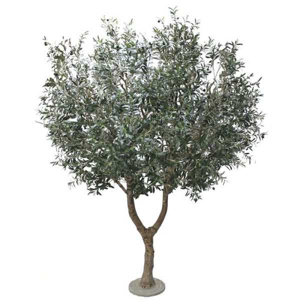 ARBOL OLIVO 250CM EXTERIOR