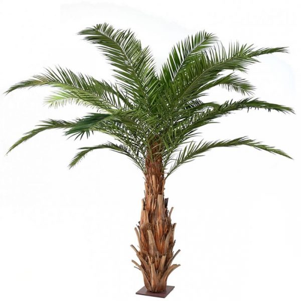 ARBOL PALMERA MAJESTY EXTERIOR 350 CM
