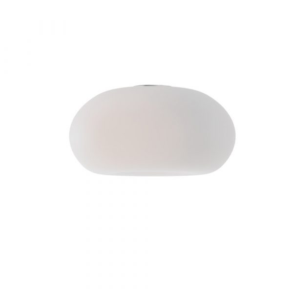TULIPA ANDROMEDA BLANCO OPAL 9459 MANTRA